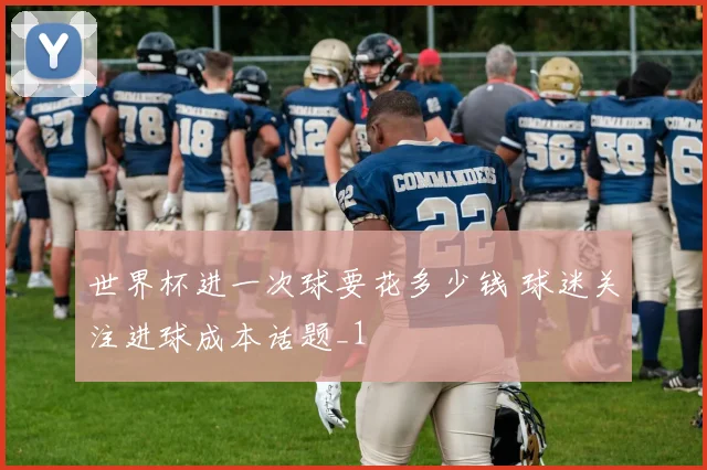 世界杯进一次球要花多少钱 球迷关注进球成本话题_1