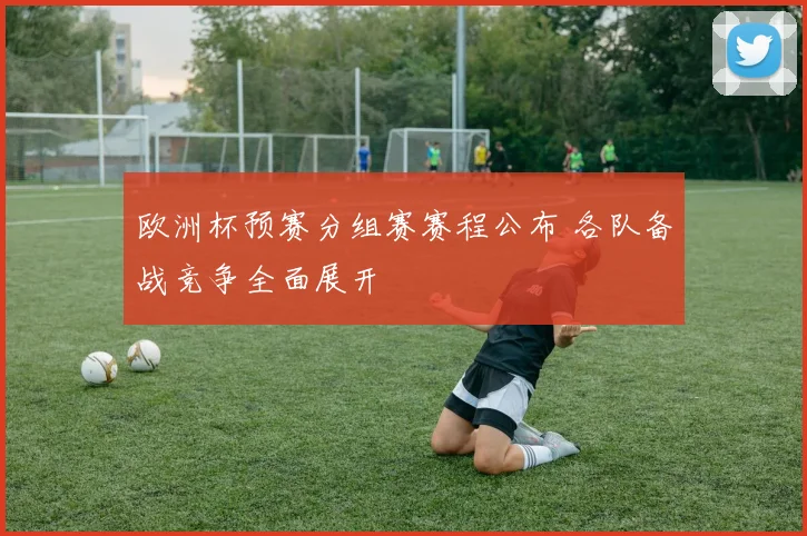 欧洲杯预赛分组赛赛程公布 各队备战竞争全面展开