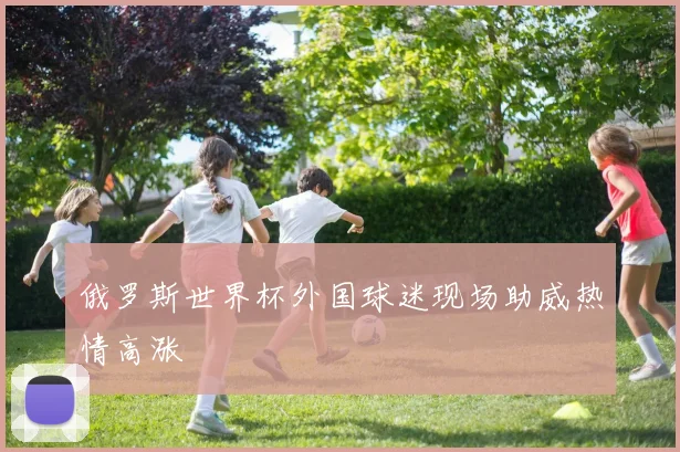 俄罗斯世界杯外国球迷现场助威热情高涨